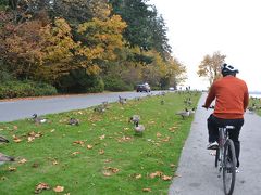 【バンクーバー旅行記】スタンレーパークをサイクリング！サーモン修行は続くか？冬の前のカナダは紅葉がきれい。