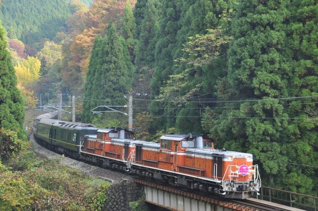 １１月３日、予定通り、午前４時にＴさんが自家用車で、我が家に迎えに来てくれ、<br />９月以来、山陰トワイライトエクスプレスを撮りに行って来ました。<br /><br />この山陰トワイライトエクスプレス、風光明媚な伯備線を通り、<br />大阪へ向かうのは、特定日の火曜日です。<br />９月は、私もＴさんも、お休みを頂戴して出撃しましたが、今回は祝日です。<br /><br />まだ、暗い、中国自動車道を西へ走ります。<br />途中、照明がなくなり、真っ暗になり、運転しにくいです。<br />しかし、私の検査結果は、●眼ではなかったです。（笑）<br />途中、霧が発生していましたが、撮影ポイントでスタンバイした頃には、<br />霧は消えていました。表紙写真のような山の中でも、パトカーが来て、<br />鉄ちゃんたちに、車の止め位置を注意して回っていました。<br /><br />祝日ということで、撮影ポイントは、多くの鉄ちゃんで賑わっていました。<br />マイ　脚立も役にたちます。<br /><br />ファーストショットの後、車を使い、追跡撮影が始まります。<br />山の中の道は、鉄ちゃんたちの車で鈴なり状態。<br /><br />