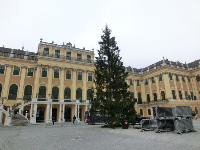 シェ−ンブルン宮殿散策<br />11月3日早くも X&#39;mas　ツリィーが運ばれました。<br />