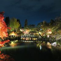 2015年そろそろ紅葉　そうだ京都へ行こう!!　行ってきました永観寺と青蓮院ライトアップ♪