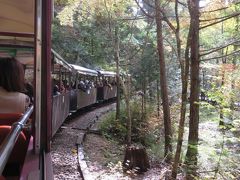 木曽ヒノキ天然林の森・赤沢森林鉄道に乗りたい～とワクワク出かけました（＾０＾）マイナスイオンがいっぱいですよ～～