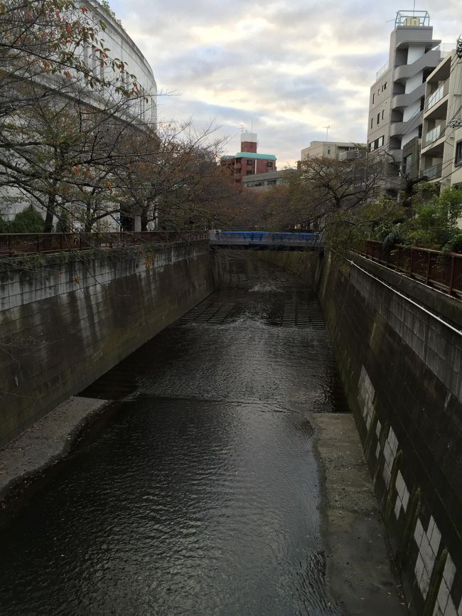 毎朝散歩に出かけようと思っているが、毎朝出かけると行くところがなくなる。<br />どこに行こうか考えていると、出かけるのが億劫になる。<br /><br />今日も重い腰を何とか上げ、散歩に出かけた。<br />