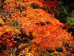 播州清水寺の紅葉
