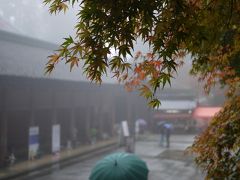 雨と霧につつまれた比叡山延暦寺へ