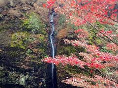 紅葉真っ只中の伊香保温泉と榛名神社～②