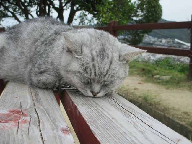 旅の先々で出会うネコちゃん。<br />アレルギーがあるので なでなではできないけど、見るのは大好き♪<br /><br />歩き方、のび、身のこなし、毛づくろい、そして遠くを見るまなざし…<br /><br />話しかけてくれるコ、目線をくれるコ、無視するコ、逃げるコ、私が出会っ<br />たネコちゃんたちの大集合です。<br /><br />ネコちゃんが100匹を超えましたので、Part2に続きます。<br />http://4travel.jp/travelogue/11232543<br /><br />ネコの旅行記はこちら<br />江の島・猫さがし↓↓<br />http://4travel.jp/travelogue/10860596<br /><br />谷中・猫町 サクラ散歩 2016 ↓↓<br />http://4travel.jp/travelogue/11117252<br /><br />谷中・猫町 裏道散歩 2013↓↓<br />http://4travel.jp/travelogue/10755700<br /><br />※旅行時期は最終更新日ですが、2015.12.4～出会ったネコちゃんたちです。