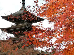 紅葉追いかけて　定義如来西方寺と大倉川渓谷とマルチプルアーチ式の大倉ダム