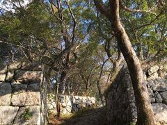 城山（佐伯城址）。