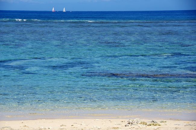 南インド洋に浮かぶフランスの海外県の一つ、Ile de la Reunion レユニオン島。神奈川県ほどの面積の小さな島に、一言ではとても表しきれない魅力が詰まっています。そんな南海の楽園を自分の足とレンタカーで味わい尽くす旅！<br /><br />旅行１１日ー１３日目（最終日）、いよいよ旅もあと３日。トレイルレースを挟んでずっと山ばかりだったので、最後はのんびり（というには短すぎるけど）、美しいビーチを中心に西部海岸線を堪能しました。