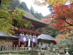 みたらい渓谷・高野山・熊野本宮大社の紅葉　２