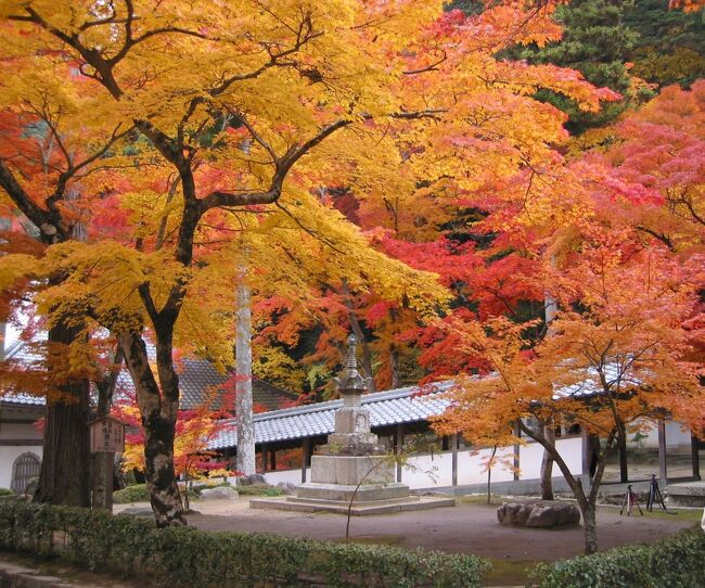 デジカメで撮った最初の紅葉写真は、2002年に訪れた滋賀県の琵琶湖周辺にある石山寺、永源寺などの紅葉でした。それからもう20年も経ってしまいましたが、その素晴らしさは未だに忘れられません。最近では、2020年にも滋賀県の紅葉を見に訪れていて、その素晴らしさを改めて実感しました。今は11月中旬なので、今からでも京都に負けないくらいの素晴らしい紅葉が見れると思います。（表紙写真は、永源寺境内の紅葉）