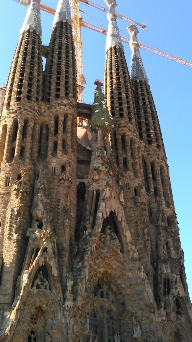 　阪急トラピックスで、「スペイン・ポルトガル２か国11の世界遺産を巡る全食事つきスペイン・ポルトガル10日間」に参加しました。5月に生まれて初めてのヨーロッパ、中欧に行き、ヨーロッパ病に取りつかれました。7月のイタリア、9月のフランス、10月のドイツと攻めて行っています。そして11月の晩秋のスペイン・ポルトガルで、アルハンブラ宮殿にすっかり魅了されました。<br />　旅行記を書くのは２回目です。前回のドイツ編より読みやすいものになるよう努力します。主な行程は下記の通りです。<br />１日目 29日（木）羽田発ミュンヘン乗り継ぎバルセロナ。<br />　  　　　　　　　ドンギャンデード泊<br />２日目 30日（金）バルセロナ市内観光（サグラダファミリア・<br />                         カタルーニャ音楽堂・モンジュイックの丘）<br />                         タラゴナ（ラス・ファレラス水道橋）<br />                         SHフロラザール泊<br />３日目 31日（土）クエンカ市内観光（カテドラル・宙づりの家）　　 <br />                         マドリッドへ。グランアトランタ泊<br />４日目   1日（日）マドリッド市内観光（スペイン広場<br />　　　　　　　　  プラド美術館・国立王妃芸術センター・王宮）<br />                         トレド（サントトメ教会・カテドラル・展望ポイント）<br />　　　　　　　　  グランアトランタ泊<br />５日目  ２日（月）ラマンチャ地方（白い風車）<br />　　　　　　　　  コルドバ（メスキータ・花の小径）<br />　　　　　　　　  グラナダ（フラメンコショー）アリサレス泊<br />６日目  ３日（火）グラナダ市内観光（アルハンブラ宮殿<br />　　　　　　　　  ヘネラリーフェ庭園）ミハス散策、セビージャヘ。　　　　　<br />　　　　　　　　  TRHアルコラ泊<br />７日目  ４日（水）セビージャ市内観光（カテドラル・アルカサル）　　　　　　　　　　　　　<br />　　　　　　　　  エボラ歴史地区（サンフランシスコ教会・カテドラル）<br />　　　　　　　　  リスボンへ（ファドディナーショー）<br />　　　　　　　　  マリオットリスボン連泊<br />８日目   5日（木）リスボン市内観光（ジェロニモス修道院・<br />                          発見のモニュメント・ベレンの塔）シントラ宮<br />　　　　　　　  　ペナ宮、ロカ岬。マリオットリスボン泊<br />９日目  ６日（金）リスボン空港発フランクフルト経由羽田<br />10日目 ７日（土）羽田空港着