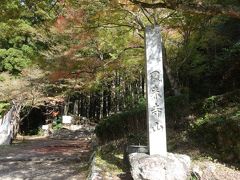 鳳来寺山に紅葉狩りに来たのですが，ちょっとまだ，はやすぎたようでした。