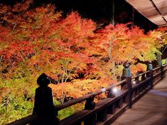 播州清水寺の紅葉　2015