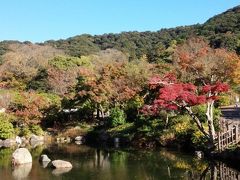 大人の秋の京都
