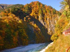 紅葉最盛時の黒部渓谷トロッコ列車