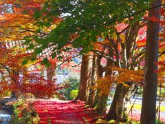 秋彩　京丹波の龍穏寺・亀岡の鍬山神社