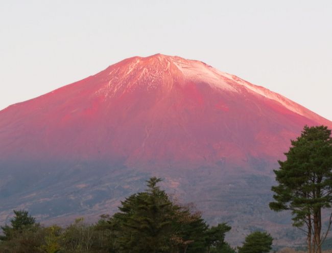 世界遺産とは？<br /><br />　世界遺産とは、1972年の第17回ユネスコ総会で採択された、「世界の文化遺産及び自然遺産の保護に関する条約」に基づいて登録されます。地球の生成と人類の歴史によって生み出された、過去から現代へと引き継がれてきたかけがえのない宝物で、未来へと伝えなければならない人類の共通の財産です。「文化遺産」「自然遺産」「複合遺産」の３種類があります。<br /><br />世界遺産「富士山」とは？<br /><br />　標高3,776mの独立峰で、神聖で荘厳な姿の富士山は、日本で古来から信仰の対象として、また、浮世絵など多くの作品に取り上げられる芸術の源泉として世界でも高く評価されています。その雄大さ、気高さ、美しさなどを基盤とし、信仰や芸術を生み出した山として、世界にふたつとない価値を持っていることから、2013年6月、第37回世界遺産委員会において「世界遺産（文化遺産）」に登録されました。<br /><br />今回訪問した、世界遺産「富士山」の構成遺産の紹介です。<br /><br />大宮・村山口登山道（現富士宮口登山道）・・　富士山本宮浅間神社を起点とし、村山浅間神社を経て山頂南側に至る登山道です。12世紀前半から中頃にかけて末代上人の活動をきっかけに登山が開始されたと考えられています。その後、一般の信仰登山も開始され、その様子は16世紀の作とされる「絹本著色富士曼荼羅図」に描かれています。<br /><br />須山口登山道（現御殿場口登山道）・・須山浅間神社を起点とし、山頂南東部に至る登山道です。その起源は明確ではありませんが、古文書では1486年にその存在が確認できます。登山道のいくつかの宗教施設は須山浅間神社（興法寺）の修験者の行場として使用されました。<br /><br />須走口登山道・・富士浅間神社を起点とし、八合目で吉田口登山道と合流し山頂に至る登山道です。その起源は明確ではありませんが、登山道からは1384年の年号が入った懸仏が出土しています。18世紀後半に入ると、富士講を含めた多くの道者が利用しました。<br /><br />吉田口登山道・・北口本宮富士浅間神社を起点とし、富士山頂をめざす登山道です。14世紀後半には参詣の道者のための宿坊も出来始め、大勢の人々が登るための施設が整うようになりました。富士講隆盛の礎を築いた食行身禄が、信者の登山道をこの吉田口を定めたため、富士講の信者が次第に増加し18世紀後半以降は、最も多くの人々により利用されています。<br /><br />西湖・・富士五湖の真ん中に位置し、水深が２番目に深い藍色の湖は、フジマリモの生育地です。2010年には、約70年ぶりにクニマスが発見され、多きな話題になりました。西岸には青木ヶ原樹海が広がり、富士山噴火の歴史を物語る「竜宮洞窟」（富士道者巡礼の霊場）や「富岳風穴」「鳴沢氷穴」などの溶岩洞窟が見られ、樹海を歩くガイドツアーも行っています。<br /><br />精進湖・・富士五湖の中で、最も小さい湖です。1895年、英国人ハリー・スチュワート・ホイットウォーズは、富士山を最も美しく眺められる地を求め、この地に富士五湖初のホテルを創業しました。日本有数の避暑地「ジャパン・ジョージ」を海外に紹介し、多くの外国人が訪れました。自然観察路からは、青木ヶ原樹海溶岩流の流れ込んだ様を一望できます。また関東一のヘラブナ釣りのメッカです。<br /><br />本栖湖・・富士五湖の中で、最も水深が深く、透明度が高い湖です。北西岸からは、岡田紅陽の写真「湖畔の春」をデザインした「千円札の富士」を望めます。初日の出のスポットとしても有名です。戦国時代、甲斐と駿河を結ぶ中道往還の中継地として栄え、「七社大明神」など、多くの史跡が残っています。淡水湖では珍しいスキューバダイビングやヒメマス釣り、キャンプなどが人気です<br /><br />山中湖・・富士五湖の中で、最も大きく、標高全国３位の高原の湖です。夏は避暑地として、東岸はテニスを楽しむ若者で賑わい、南岸は旭日丘を中心に文学館や美術館が多く点在しています。1956年、富士五湖で最初に発見されたマリモは、マリモ分布の南限とされています。オオハクチョウが越冬する「白鳥の湖」として、そして「ダイヤモンド富士」の聖地として知られています。<br /><br />河口湖・・富士五湖唯一の小さな島と湖の東に河口湖大橋があり、正面に富士山を望む景勝地です。多くの芸術作品とゆかりが深く、湖面に映える富士山は「逆さ富士」と呼ばれ、名所として有名です。春は桜、初夏のラベンダー、秋の紅葉、冬の雪景色など四季折々の風景は、訪れる人を魅了しています。湖畔には人気の観光スポットが並び、レジャーの拠点でもあります。<br /><br />北口本宮富士浅間神社・・日本武尊が富士山の遥拝地として定めたのが起源と言われ、富士山内にありながら噴火の被害を免れてきた由緒ある神社です。富士北口登山道（吉田口）の起点であり、富士講の聖地として古くから栄えてきました。木造日本最大の富士山大鳥居は、60年の式年を経て竣工したばかりです。富士山開山行事や吉田の火祭りが行われる神社です。<br /><br />富士山本宮浅間神社・・富士山を浅間大神として祀っているのが浅間神社であり、富士山本宮浅間神社はその総本宮です。社伝によれば、山宮から現在地に遷座されています。平安時代から信仰をあつめ、特に徳川家康の保護を受けて現在の社殿が造営されました。家康から寄進された富士山八合目以上を御神体として管理しています。境内には富士山の湧水による「湧玉池」があり、かっては富士登山者がここで登山前の禊（みそぎ）を行いました。<br /><br />村山浅間神社・・平安時代末期に富士山の噴火が衰えると末代上人など山中で修行する人々が現れました。これが発展し、鎌倉時代の終わりころに富士山における修験道が成立します。この中心となったのが村山浅間神社（興法寺）で、江戸時代末までここの修験者たちが大宮・村山口登山道を管理しました。<br /><br />須山浅間神社・・須山口登山道の起点となる神社で、社伝によれば日本武尊が創建したとされ、1524年には存在していたことが棟札により確認されています。1707年の宝永噴火により登山道を含め社殿も大きな被害を受けましたが、現在の本殿は1823年に再建されています。<br /><br />富士浅間神社（須走浅間神社）・・須走口登山道の起点となる神社で、富士講信者が多く立ち寄り、33回を一つの区切りとする登拝回数等の記念碑が約80其残されています。社伝によれば、807に造営されたと伝えられています。1707年の宝永噴火により大きな被害を受けましたが、1718年に再建されています。<br /><br />富士御室浅間神社・・吉田口登山道の二合目の地に９世紀の初めに建立されたという伝承があり、富士山中に最も早く祀られた神社であるとする文献もあります。修験や登拝といった様々な富士山信仰の拠点として位置づけられた二合目の本宮と、土地の産土神としての里宮が一体となって機能してきた神社です。本殿は1970年代に里宮の地にそのまま移設されました。<br /><br />御師住宅（旧外川住宅）・・御師は、浅間神社の神職の資格を持ち、夏は道者へ登拝のための宿や食事を提供をするなど一切の世話をするとともに、日常は富士山信仰の布教活動と祈祷を行うことを業としました。御師屋敷の多くは短冊状をなし、表に面して導水路を設け、敷地を流れる禊用の水路の奥に、住宅兼宿坊の建物が建っていました。この御師住宅で一泊し、北口本宮富士浅間神社にお参り・禊をして、富士山の頂上を目指しました。<br /><br />忍野八海・・富士山の伏流水による八つの湧水池で、富士山信仰に関わる巡礼地として八海それぞれに八大竜王を祀っています。富士登山を目指す道者たちはこの水で穢れを祓いました。長谷川角力が行った富士八海修行になぞらえて「富士山根元八湖」と唱えられた古蹟の霊場と伝えられ、1843年に富士講信者によって再興されています。<br /><br />白糸の滝・・富士山の湧水が約150mにわたって噴出している白糸の滝は、15〜16世紀、富士講開祖の長谷川角行が修行を行った地とされ、富士講を中心とした人々の巡礼・修行の場となりました。また、景勝地としても古くから有名で、和歌・絵画の題材にもなっています。<br /><br />