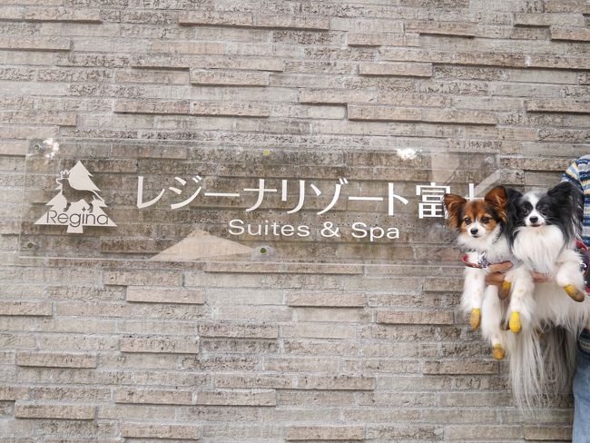 久しぶりにじいじ（お舅さん）と山梨へ犬連れ旅行へ行ってきました。<br /><br />登場人物<br />danna氏・yome・じいじ＝人間<br />おにぶさん・ツンデレ・甘えっ子＝犬