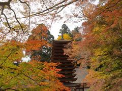 少し早めの奈良の紅葉巡り～”室生寺”から”談山神社”へ！