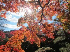 紅葉の鬼怒川温泉＆日光への家族旅行