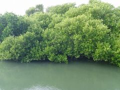 台南逍遥 その二  水辺の遠足♪