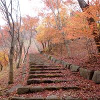 わんこと一緒★伊香保温泉で紅葉狩り