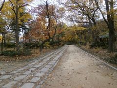 ムロたん４トラ復活宣言！秋のソウルぶらり散歩　前編　ＪＡＬビジネスクラスに乗ってソウルへ ＆ グルメを味わい、秋の風景に癒されながら宗廟を観光