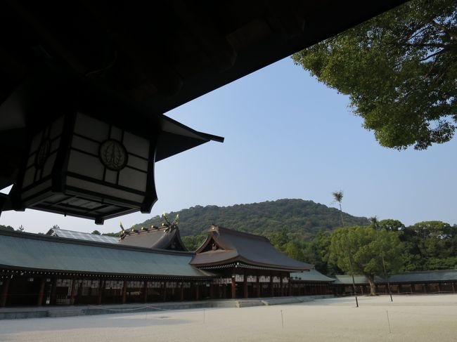 2015年はあちらこちらの神社、お寺で大きな行事が行われたる「当たり年」らしい。<br /><br />善光寺は6年に1度の御開帳。<br />高野山は開創1200年。<br /><br />日光東照宮は400年式年大祭。<br />ポスターが駅に貼られたっけ。<br /><br />下鴨神社は式年遷宮の費用を集めるため、マンションを建てる！とニュースになってたな〜。<br /><br />そしてこういう大きな行事があると特別公開が行われるのよね。<br />その特別公開にめっぽう弱いんだ…私。<br />ミーハーなのはわかってるが！<br /><br />とはいえ時間とお金には限りがあるので善光寺と高野山のみのつもりだったのに……。<br />60回の節目である春日大社と神武天皇2600年大祭が行われる橿原神宮がとても気になる。<br />ついでにちょっと足をのばせば、お色直しが終わった姫路城にも行けるよね。なんでも真っ白なのは2、3年らしいし……。<br /><br />えーい！思いきって行ってしまえ!!<br />少しでも節約するのと人混みを避けるため紅葉よりちょっと早い奈良と姫路を楽しんできました。<br /><br />唯一の誤算は終始、胃の不調に悩まされたことです……。<br /><br />まずは特別公開中の橿原神宮と地上に降りてきた水煙を見るために薬師寺へ。