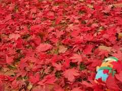 ちょっとピザを食べに帯広まで@北海道ホテル ～2015～