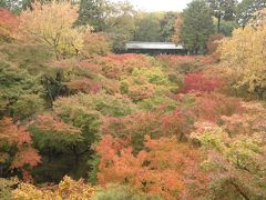 紅葉には少し早かったけど…母と旅する雨の京都。