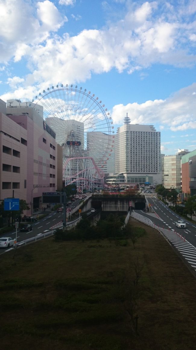 先週 日曜 今日の午前中 雨と予定した行動を中止に 午後から 天気が快復 勿体無いので 散歩でも 街中は もう クリスマスの装い ならば ツリーでも 見ながら 探しながら ゆっくり散歩でも！