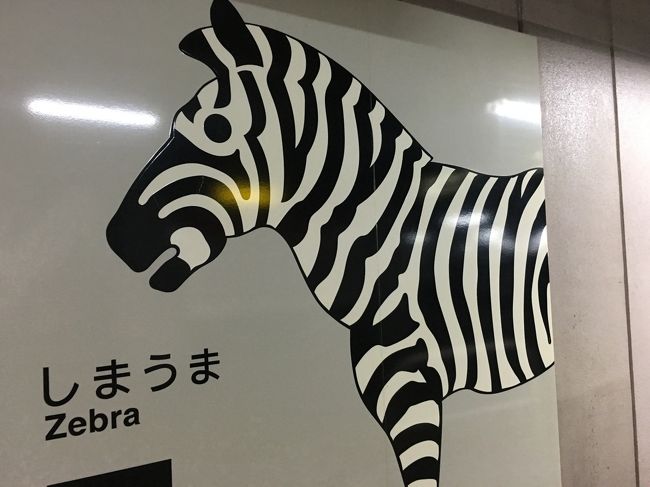 2015年 10月22日 ハワイからの荷物もそこそこに 主人の出張ついでに私も佐世保に帰ってきました<br />今回は何の目的もなく・・・と思っていきましたが 姉に連れられて母のお墓詣りと・・・主人の仕事が終わったら 佐世保で合流・・・ あっという間の4日間でした