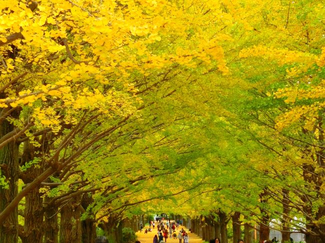 友達とぶらり～秋色散歩～<br />紅葉を求めて東京都立川市にある「国営昭和記念公園」へ行ってきました。