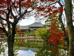 奈良旅行２日目：鏡池と東大寺の紅葉