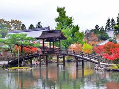 2015紅葉（2） 孫達と行く多治見・虎渓山永保寺の紅葉