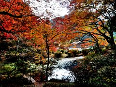 名勝・紅葉の吉水園（安芸太田町）を訪ねて・・・