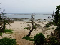 神の島である《久高島》初訪問目的 那覇１泊２日の旅【《久高島》でレンタサイクルを借りて、東海岸の『ウパーマ浜（星砂の浜）』、『シーマシ浜』、『イシキ（伊敷）浜』、『ピザ浜』観光編】（２０１５年１１月）