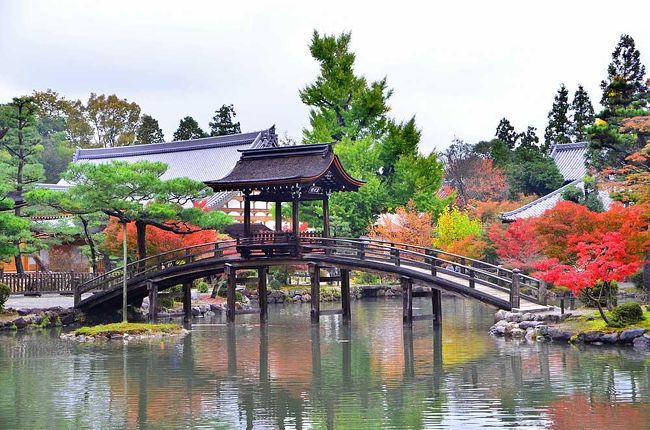 2015紅葉（2） 孫達と行く多治見・虎渓山永保寺の紅葉