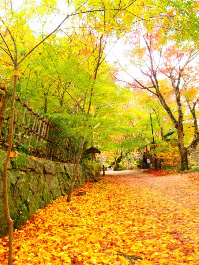 まだまだ旅行気分の、週末の滋賀散策～♪ ①湖南三山(長寿寺と常楽寺)の紅葉編