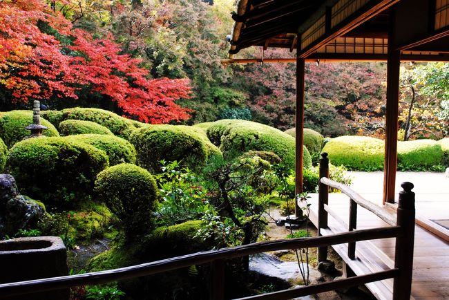 　今年の紅葉は？，2013年の東福寺・永観堂に出かけて3年目となる。　小生は京都の紅葉に魅せられた様です。　11月に入り5か所程をピックアップし綿密に計画を進めて参りました。<br /><br />　この14、15日が最適な紅葉日と決め込み楽しみに待ち続けた訳ですが、小生にはひとつのこだわりがあります。　それは天候で願わくば晴れ、青空の紅葉を見たいのだ！。　天気予報には敏感で、当日は雨で延期とせざるを得ませんでした。　それが天気の回復が早く、15日の予想が9時より晴れマークとなり、即決行とした次第です。<br /><br />　まずこの旅行記で紹介するのは詩仙堂と圓光寺です。　京都の洛北辺に隣り合わせにあり、また双方は紅葉の名所であり小生は第一の候補としておりました。<br /><br />　それではこれよりタイトルの旅行記を紹介します。<br />　　　　　　　　　　　　　　　　　　　　　　（写真 詩仙堂の書院よりの紅葉）