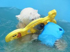 オフシーズン北海道旅行4日目最終日～釧路市動物園編～。