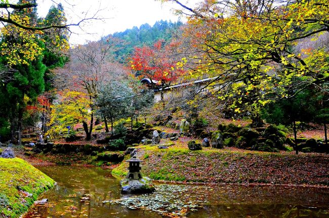 <前編>では、常照皇寺の方丈までを駆け足で紹介いたしました。<br /><後編>は、開山堂の内部にある仏像のレポを中心に、東山魁夷画伯が『京洛四季 小画集』で絵筆を執り「門」として描いた勅使門など、桜や紅葉以外ではあまり知られていないレアな部分にスポットを当ててこのお寺の更なる魅力を引き出していきたいと思います。<br />光厳院お手植えの枝垂桜「九重桜」は国の天然記念物に指定されていますが、開山堂に祀られている「阿弥陀三尊来迎坐像及び両脇侍坐像」は国の重要文化財に指定されています。また、両脇侍仏は「大和坐り」と称されるポーズをとる希少な仏像として知られています。しかも、手に取るように間近で鑑賞できる寛容さもこのお寺の魅力のひとつです。<br />勅使門の透かし彫りは、東山魁夷画伯の心を動かした巧妙な細工で訪れた人たちを魅了してやみません。また、紅葉の季節にしか見ることのできない山国陵への参道の絶景なども紹介していきます。<br />正直なところ、1時間でよくここまで細部に拘って回れたなと我ながら感心するほど濃い内容になっています。<br />前口上が長くなりましたが、それでは境内へご案内いたします。<br />常照皇寺のマップです。<br />http://www.pref.kyoto.jp/shizen-kankyo/hozen10.html<br />http://town.zaq.ne.jp/p/s3aahuwe8hgagssgag2z-4265b3a4.jpg