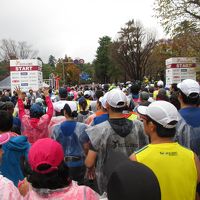 金沢マラソン2015(大会当日編）　時折雨が降る中を走る