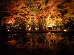 ２０１５年１１月１６日　曽木公園　紅葉狩り