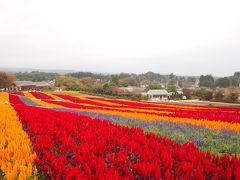 友だち誘ってちょっと那須まで。。。