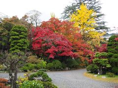 冬桜とみかん狩りに温泉と盛り沢山の旅