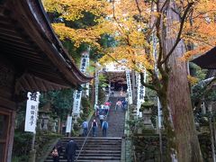 谷汲山　華厳寺の紅葉を満喫中