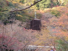 奈良　紅葉たより　談山神社