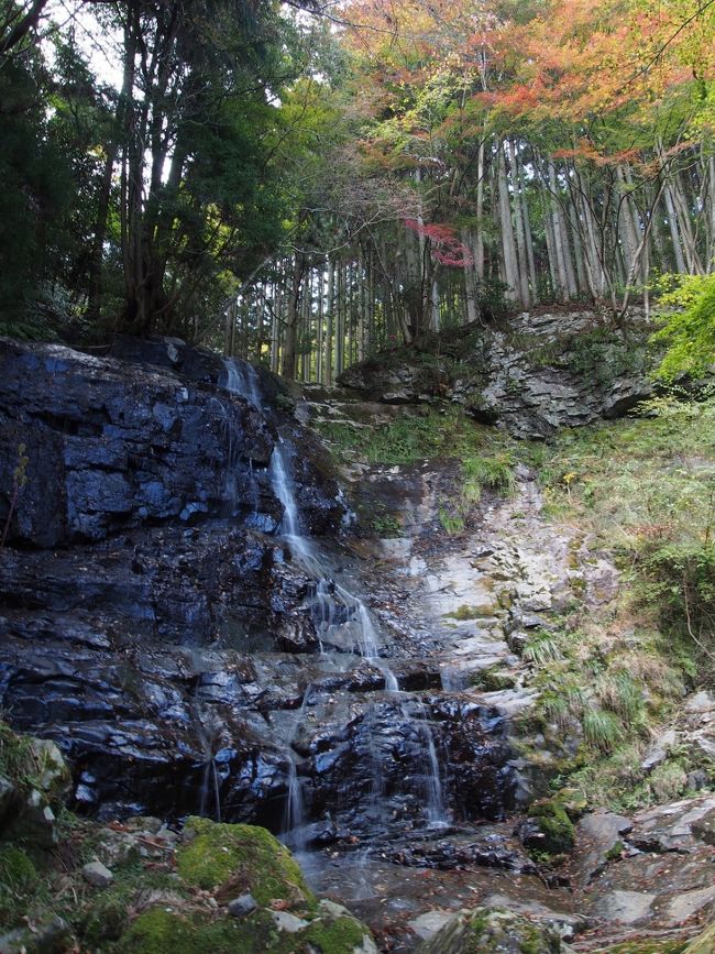 滝メグラーが行く２０２　紅葉を求めて三谷大滝へ　兵庫県多可町